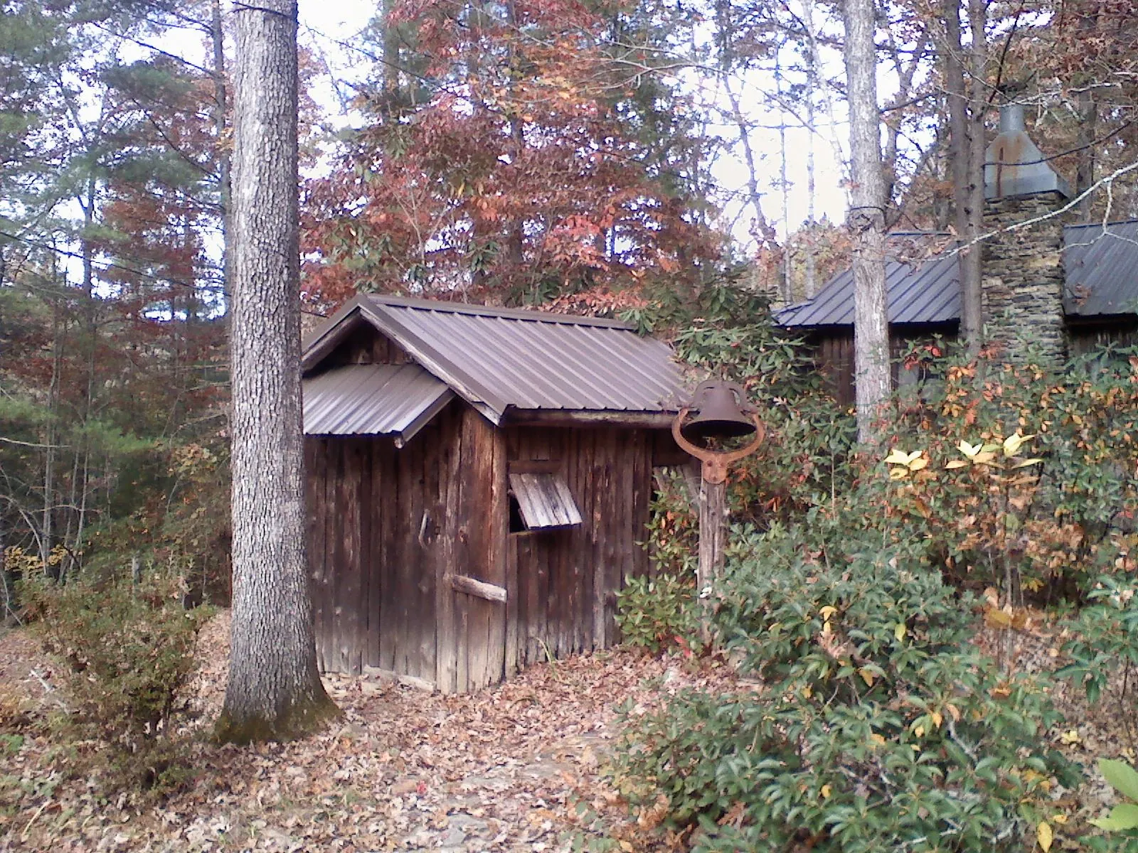 Small metal roof on a rough sawn shed in the woods in Medaryville